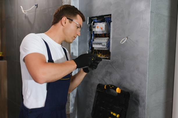 Best Electrical System Inspection  in Forest Lake, IL